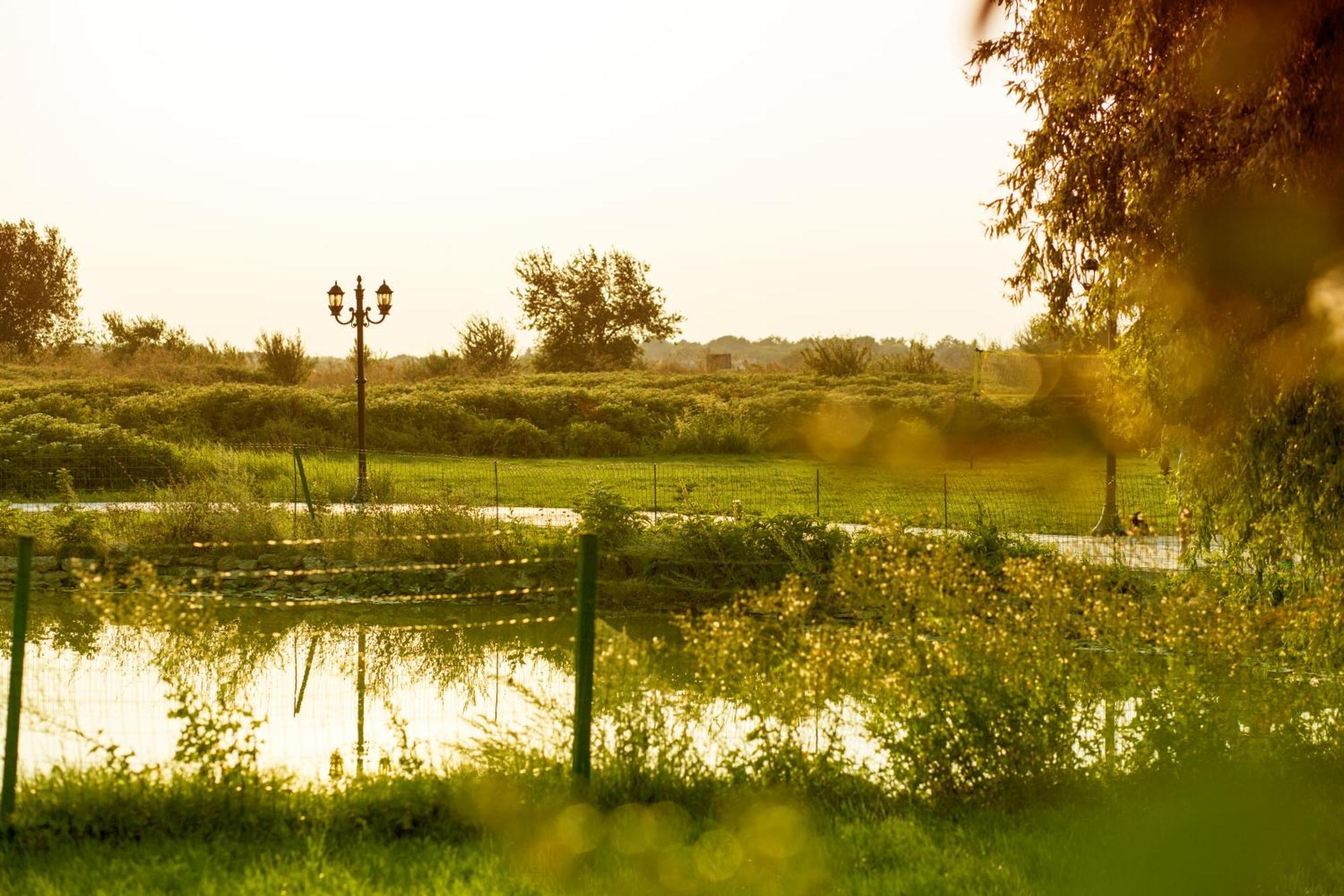 Kaliakria Resort Топола Экстерьер фото